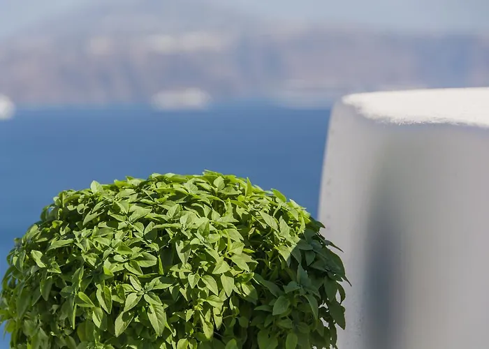 Pina Caldera Βίλα *